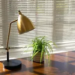 Hyde Park Comfort With Office Near Everything