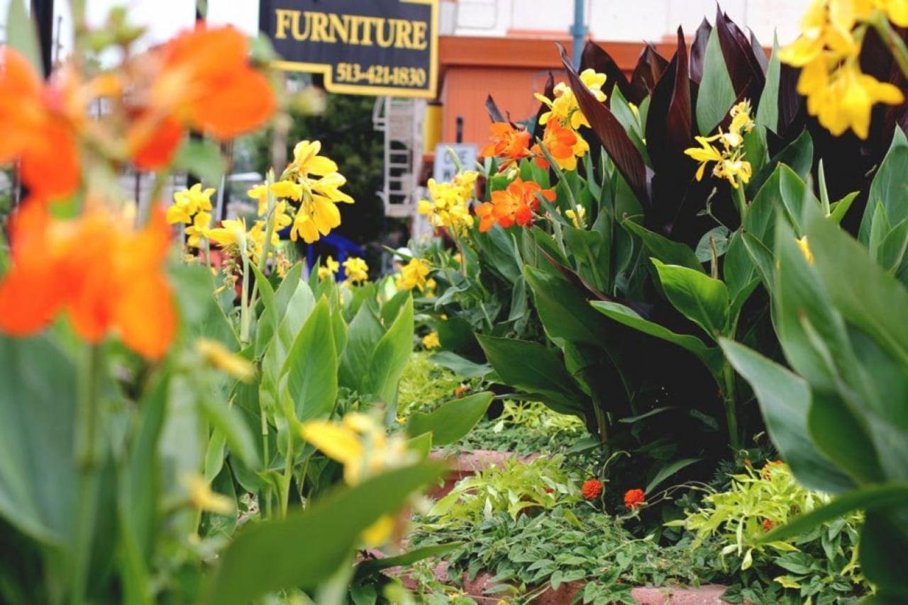 Findlay - Perfect Location Over The Rhine *