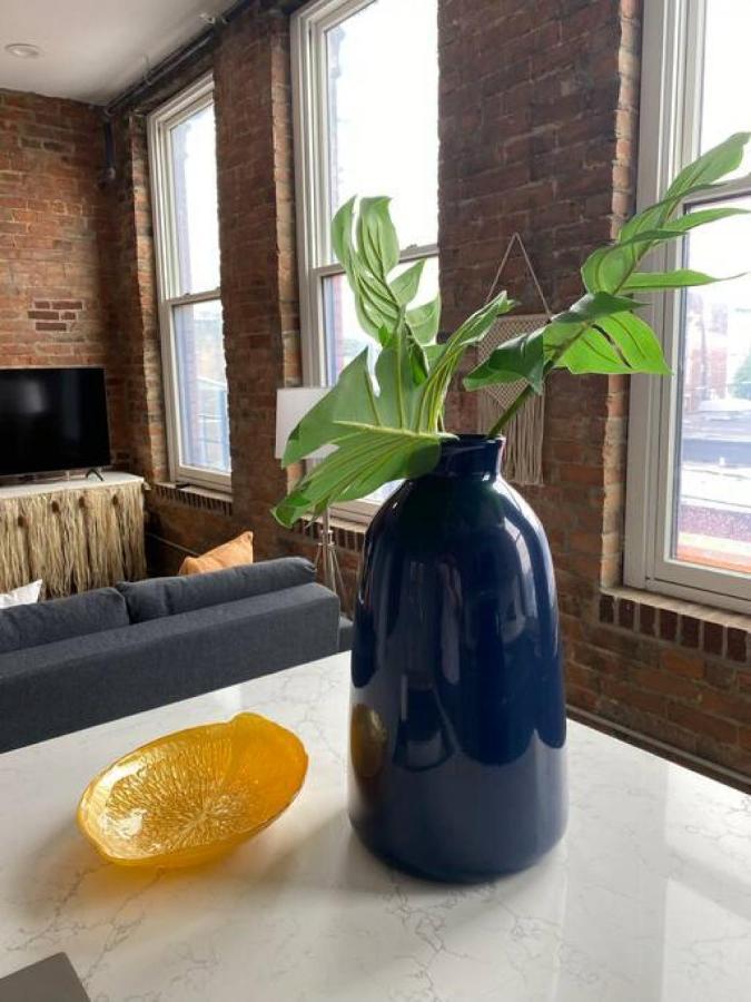 Zango Explore Otr And Downtown From A Renovated Apartment *