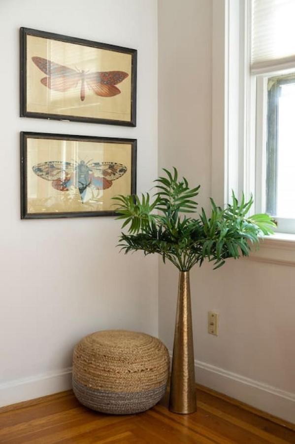 Hyde Park Comfort With Office Near Everything Apartment Cincinnati
