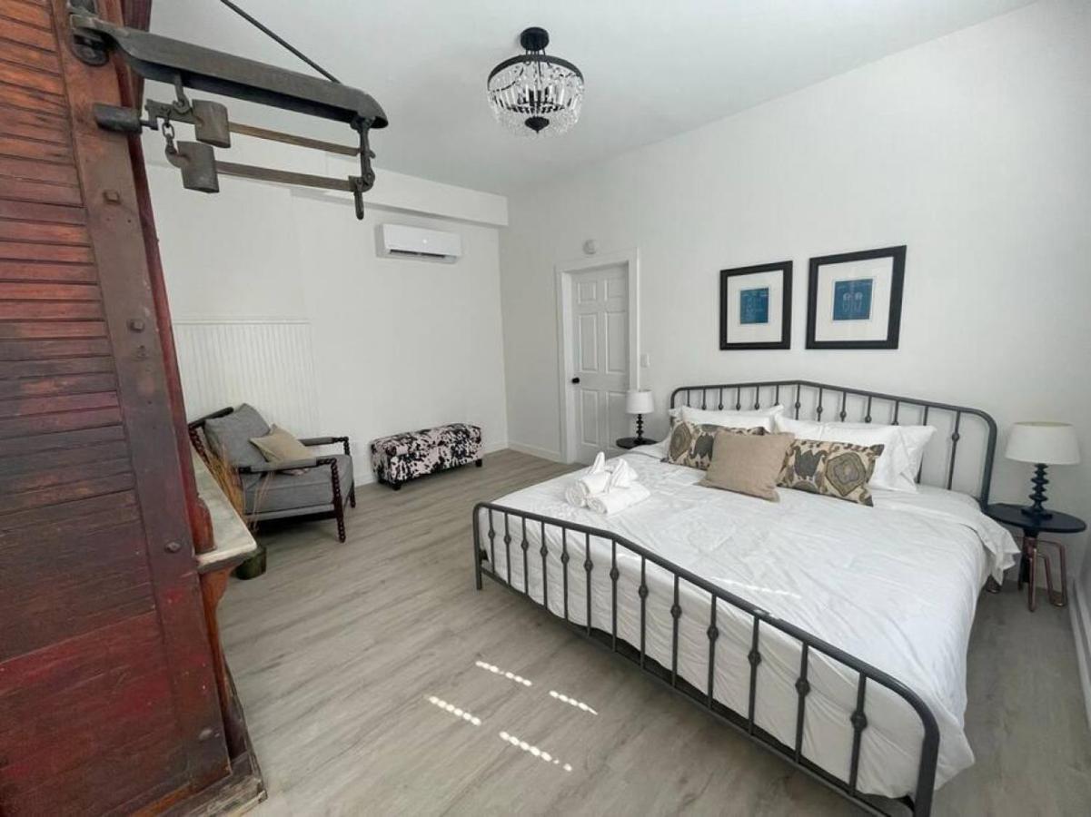 Full Building Huge Downtown Retreat Walkable To Everything *