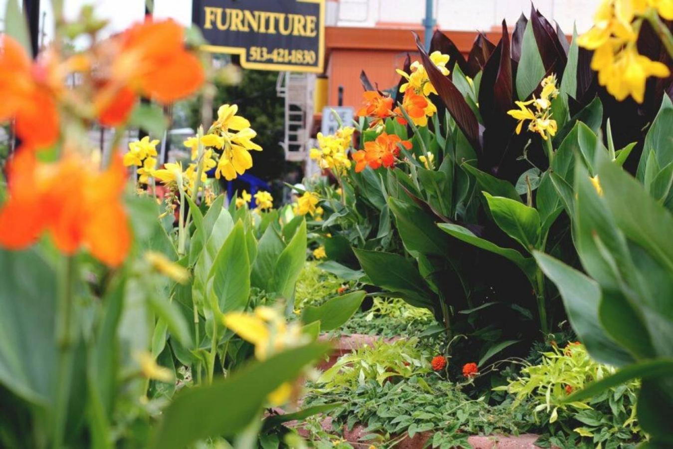 Spacious In Otr - Findlay Market * Cincinnati