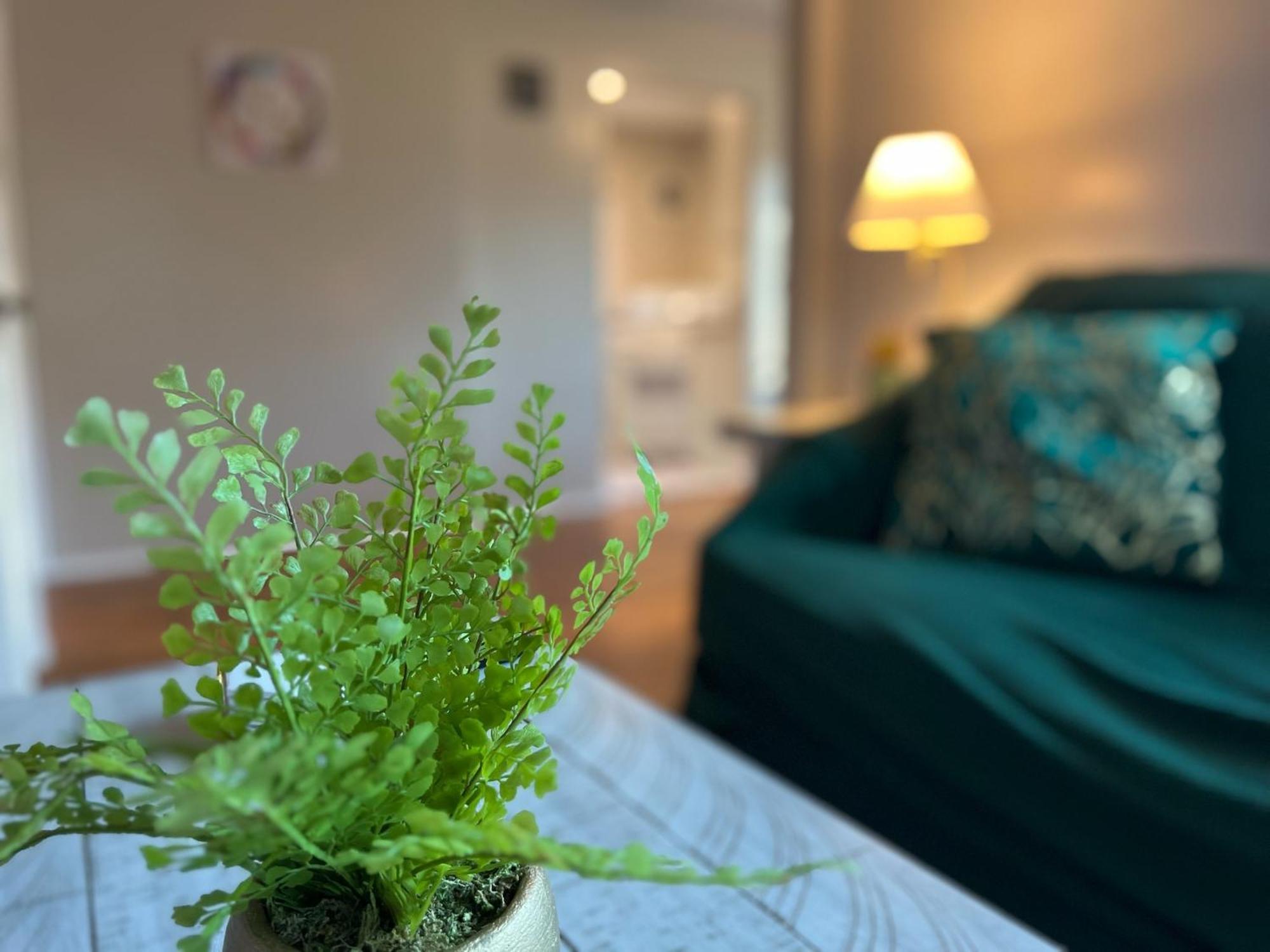 Apartment Emerald Oasis 1br 1 Ba 10 Min To Dtwn