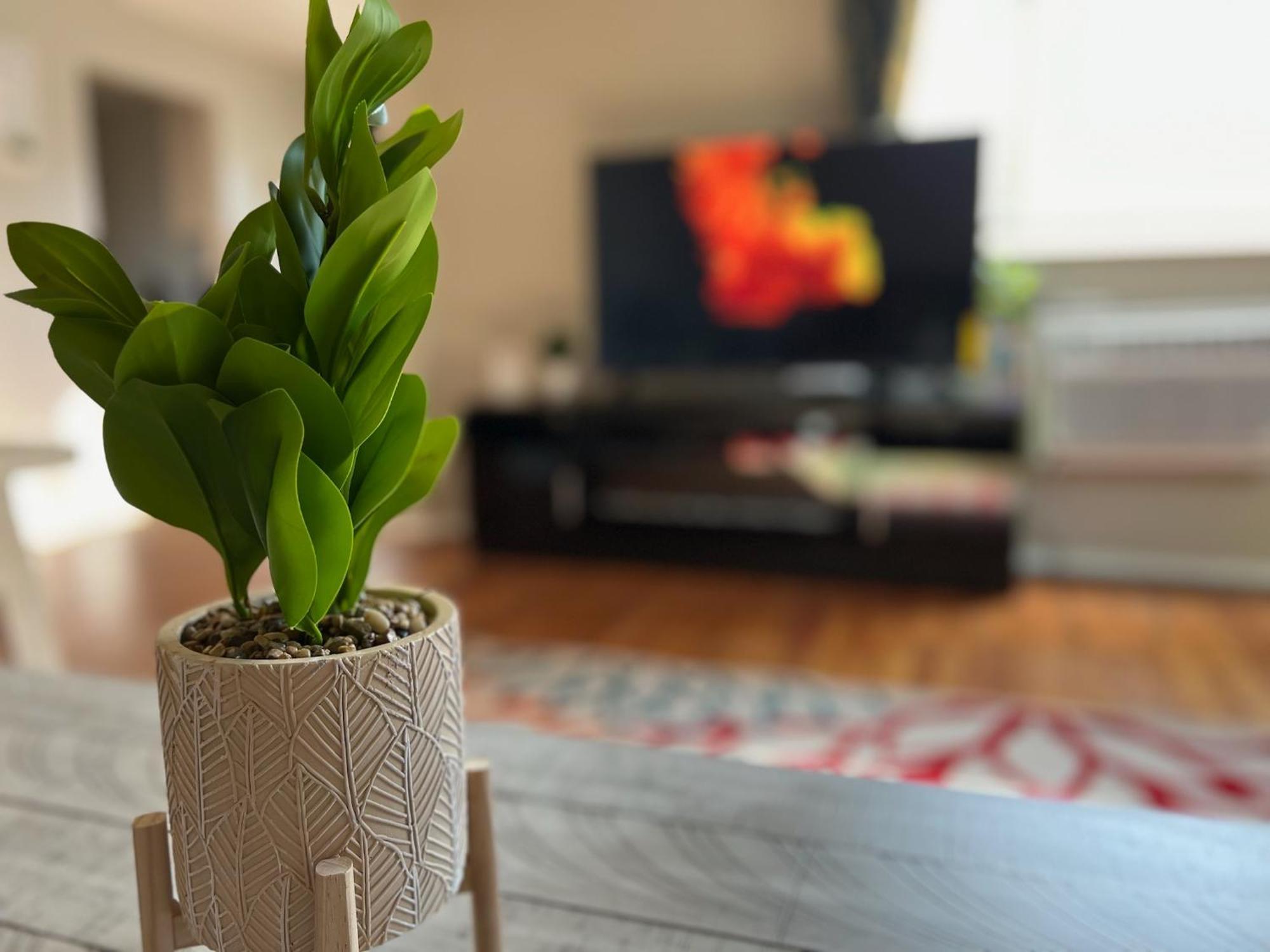 Emerald Oasis 1br 1 Ba 10 Min To Dtwn *