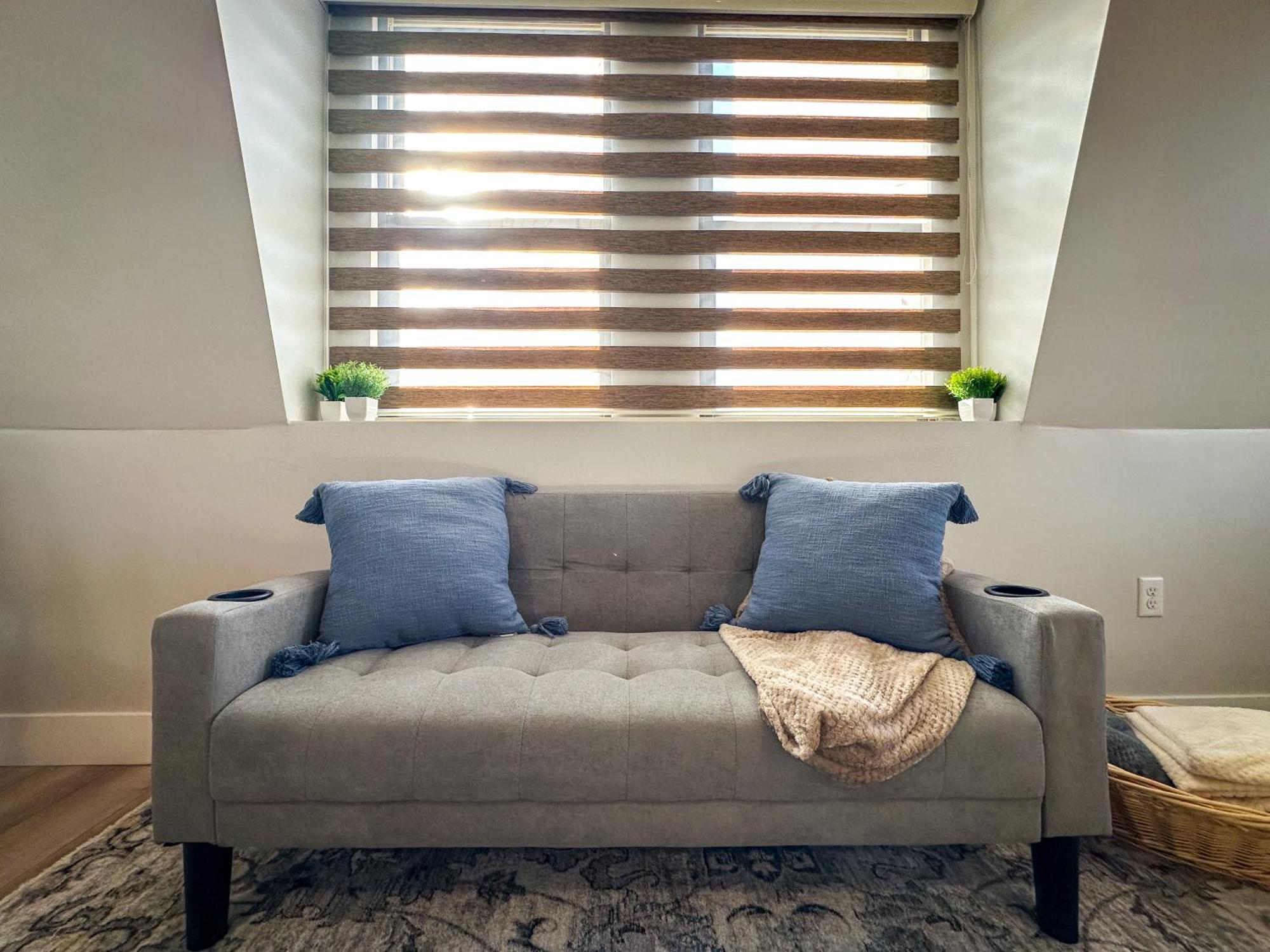 Modern & Cozy Downtown In