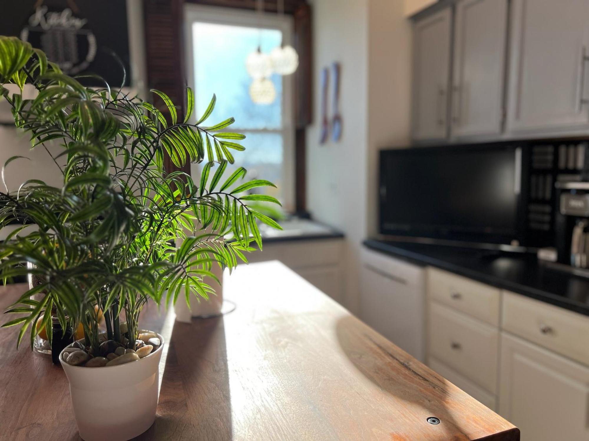 Private Bdrm 3 In Spacious House Views * Cincinnati