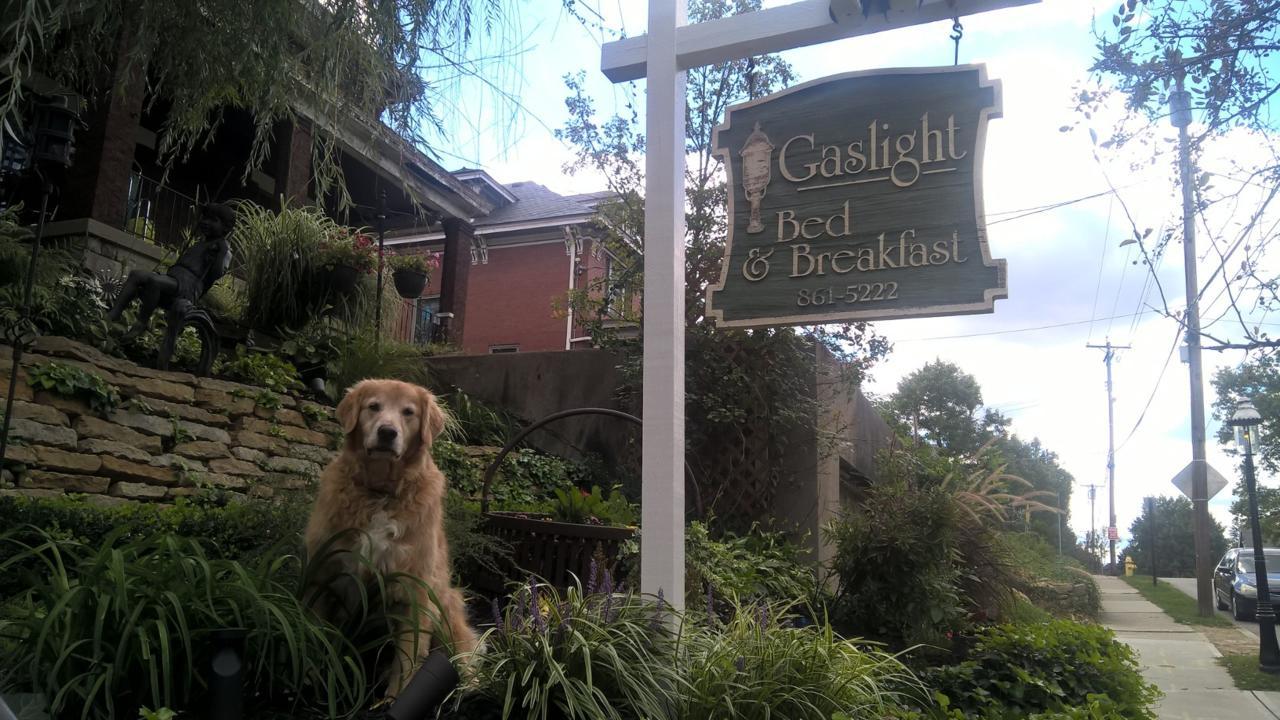 Bed & Breakfast Gaslight